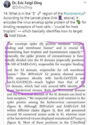 2019-nCoV表面的特异性糖蛋白机理