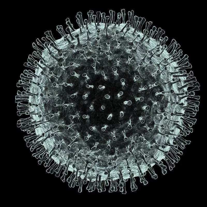 冠状病毒(艺术概念图)