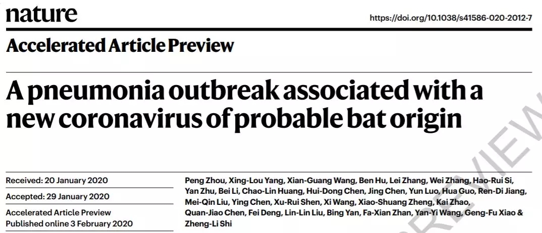 Nature首次发表中国科学家新冠病毒研究论文